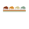Bison
