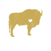 Bison