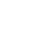 Bison