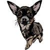 Chihuahua Illustration on Textile