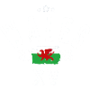 Wales XV rugby team