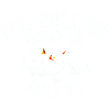 Oceanographic Belle Ile