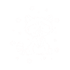 Baby Fox