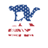 Sport Us Flag BMX