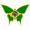 Brazil Flag Butterfly