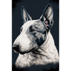 Bull Terrier Dog Drawing