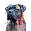 Cane Corso Italiano Dog Aquarelles