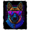 Malinois Hund