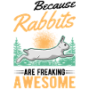 Rabbit Gift Rabbit Rabbit