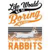 Rabbit Gift Rabbit Rabbit