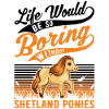 Shetland Pony Gift Shetty