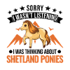 Poney Shetland Poney Shetland Shetty
