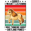 Shetland Pony Shetland Pony Shetty
