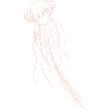 Méduse rose