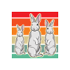 Lapin lapin lapin lapin