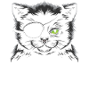 Pirate Cat