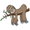 Sloth