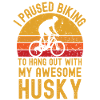 Cycling and Husky
