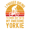 Cyclisme et Yorkshire Terrier