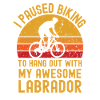 Cycling and Labrador