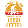 Cycling and Irish Setter