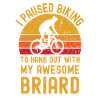 Cycling and Briard