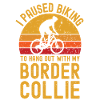 Cycling and Border Collie
