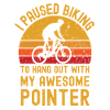 Cycling and Pointer