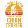 Cycling and Cairn Terrier