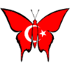Turkey Flag Butterfly