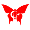 Turkey Flag Butterfly