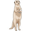 Tasse de café suricate