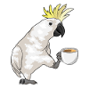 Parrot Cup of Coffee
