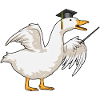 Canard Professeur Cylindre