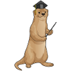 Otter Professor Cylinder