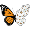 Butterfly Daisies