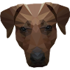 Polygon Hund