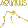 Aquarius Aquarius Starsign Gift