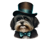Dog Havanese dog motif