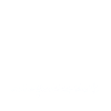 Nagetier Maus Ratte