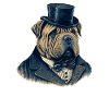 Motif de chien Shar Pei