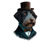Hund German Wirehaired Pointer Hundemotiv