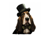 Dog Basset Hound Dog motif