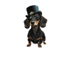 Dog Dachshund Dog motif