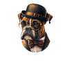 Dog Boxer Dog Motif