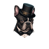 Dog French Bulldog dog motif