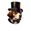 Hund Beagle Hundemotiv