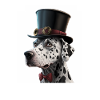Dog Dalmatian dog motif