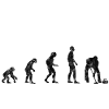 Ice Curling Curler Curling Evolution