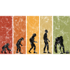 Eis Curling Curler Eisstockschießen Evolution